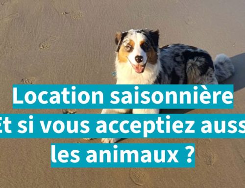 Faut-il accepter les animaux en location saisonnière ?