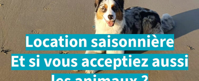 Animaux de compagnie en location saisonnière