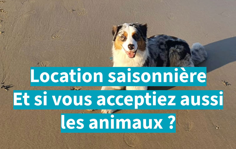 Animaux de compagnie en location saisonnière