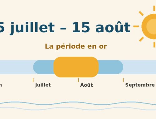 Pourquoi laisser votre logement disponible du 15 juillet au 15 août à Quiberon ?